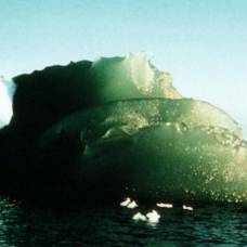 Из чего состоят и для чего нужны зеленые айсберги