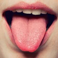 Человек может чувствовать запахи своим языком