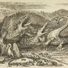 История динозавра, ранее известного как scrotum humanum