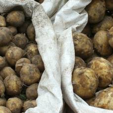 Эффект вареной картошки и здоровье кишечника