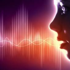 Ученые выяснили, как мозг в шумном месте выделяет нужный голос из прочих