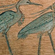 Древние египтяне мумифицировали миллионы ибисов