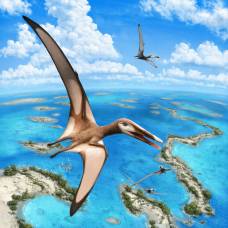 Палеонтологи обнаружили ранее неизвестную летающую рептилию