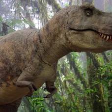 Какова была сила укуса тираннозавра