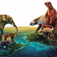 Почему древние млекопитающие южной америки проиграли северным собратьям
