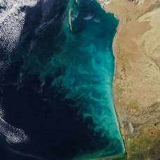 Каспийское море быстро уменьшается из-за изменения климата