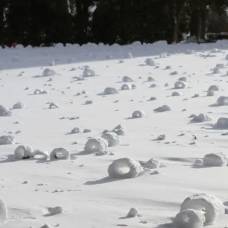 Откуда в пустошах сотни «снежных пончиков» и кто их лепит