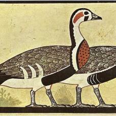 Новый вид гусей определили по росписи в древнеегипетской гробнице