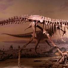 Как детёныши хищных динозавров меняли мир под себя