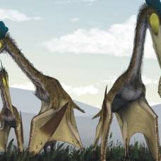 Палеонтологи раскрыли секрет прочности шеи гигантских птерозавров