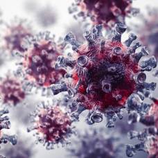Десятки тысяч видов вирусов, обитающих в кишечнике человека, оказались неизвестны науке