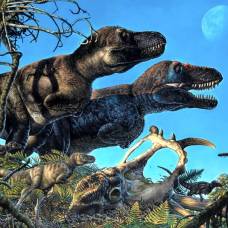 Появились свидетельства зимовья динозавров в арктике