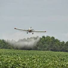 Американские родители подали в суд на производителей пестицидов