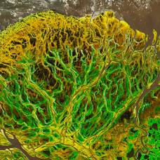 Невероятная красота: снимок со спутника дельты юкона