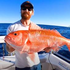 Австралийский рыбак выловил гигантскую золотую рыбку вида erythrocles весом 10 килограммов