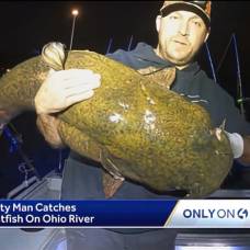 Рыболов поймал гигантского сомика и поставил рекорд