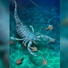 В китае обнаружены окаменелости «морского скорпиона» размером с собаку