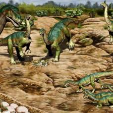 Ранние динозавры могли сбиваться в стада