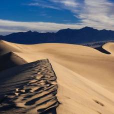 Физики выяснили, как лучше всего останавливать песчаные дюны