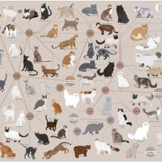 Все породы кошек на одной картинке