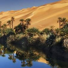 Оазис убари в пустыни ливии