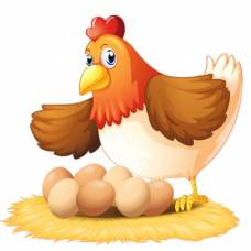 Как следует хранить куриные яйца?