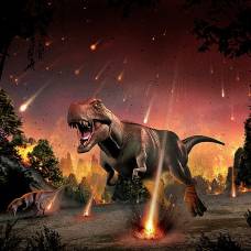 Почему другие животные не вымерли вместе с динозаврами после падения астероида?
