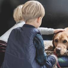 Жизнь в одном доме с собакой обезопасила детей от тяжелого хронического заболевания