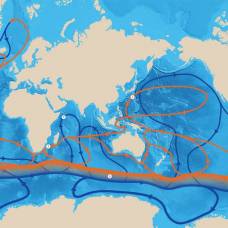 Почему океанские течения постоянны?