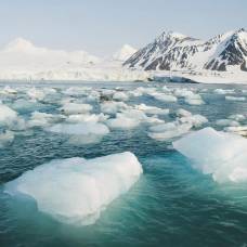 Почему море бывает сплошь покрыто льдом, а бывает частями?