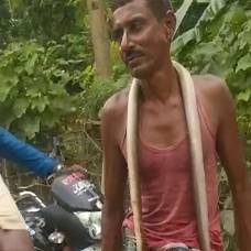 В индии мужчина укусил напавшую на него ядовитую змею