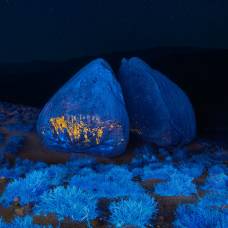 Фотограф использует ультрафиолетовый свет для создания необычных светящихся пейзажей