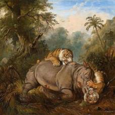 Схватка тигров и носорога