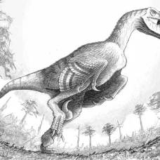 Дакотараптор (лат. dakotaraptor steini)