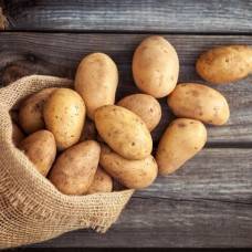 Что роднит картошку с шелком?