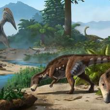 В трансильвании нашли останки карликовых динозавров, которые умели плавать