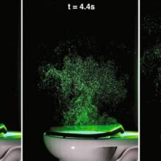 Как выглядит «фонтан из бактерий» над вашим унитазом