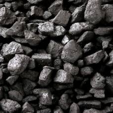 Раскрыт секрет образования каменного угля