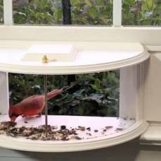 Необычная кормушка для птиц, которую вы можете легко установить на своем окне