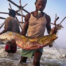 Как небольшое африканское племя придумало уникальный способ ловли рыбы
