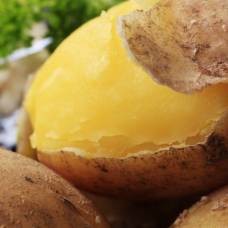 Можно ли питаться лишь одним продуктом, например картошкой?