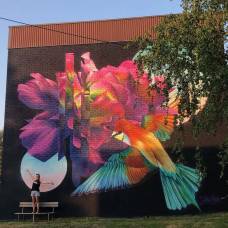 Уличный художник вдохнул новую жизнь в общественные места с помощью ярких цветочных фресок