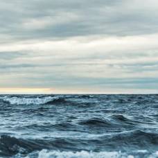 Мировой океан достиг самой высокой за всю историю наблюдений температуры