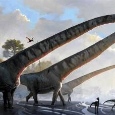 Мамэньсизавр, или маменьчизавр (лат. mamenchisaurus)