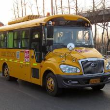 Как выглядят школьные автобусы в разных странах: фотогалерея