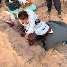 В египте нашли 5000-летние кувшины с вином