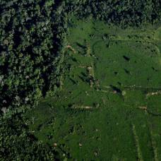 Аэрофотоснимки показывают древние земляные сооружения коренных народов, спрятанные в лесах амазонки