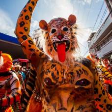 Артисты переоделись тиграми и леопардами, чтобы отпраздновать сезон сбора урожая в индии