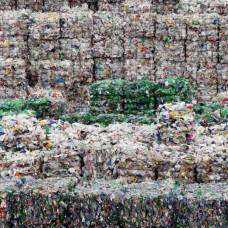 Смогут ли бактерии избавить человечество от пластикового мусора?