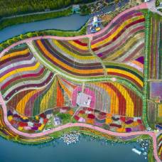 Голландский цветочный парк в китае